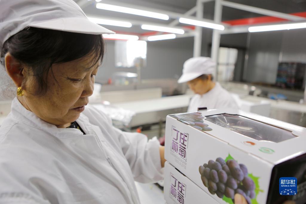威澳门尼斯人飞禽走兽
